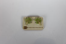 Load image into Gallery viewer, Earrings 15
