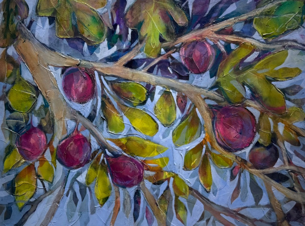 The Fig Tree