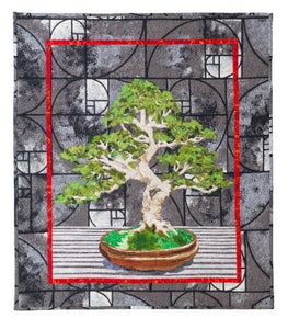 Bonsai by JoAnn Camp