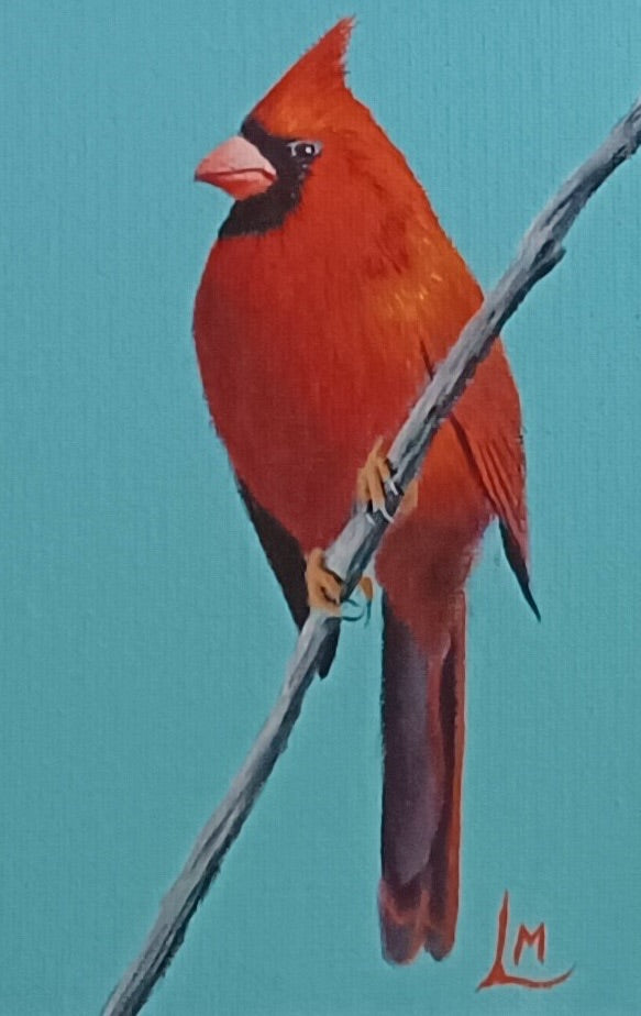 Northern Cardinal by Leslie Miller