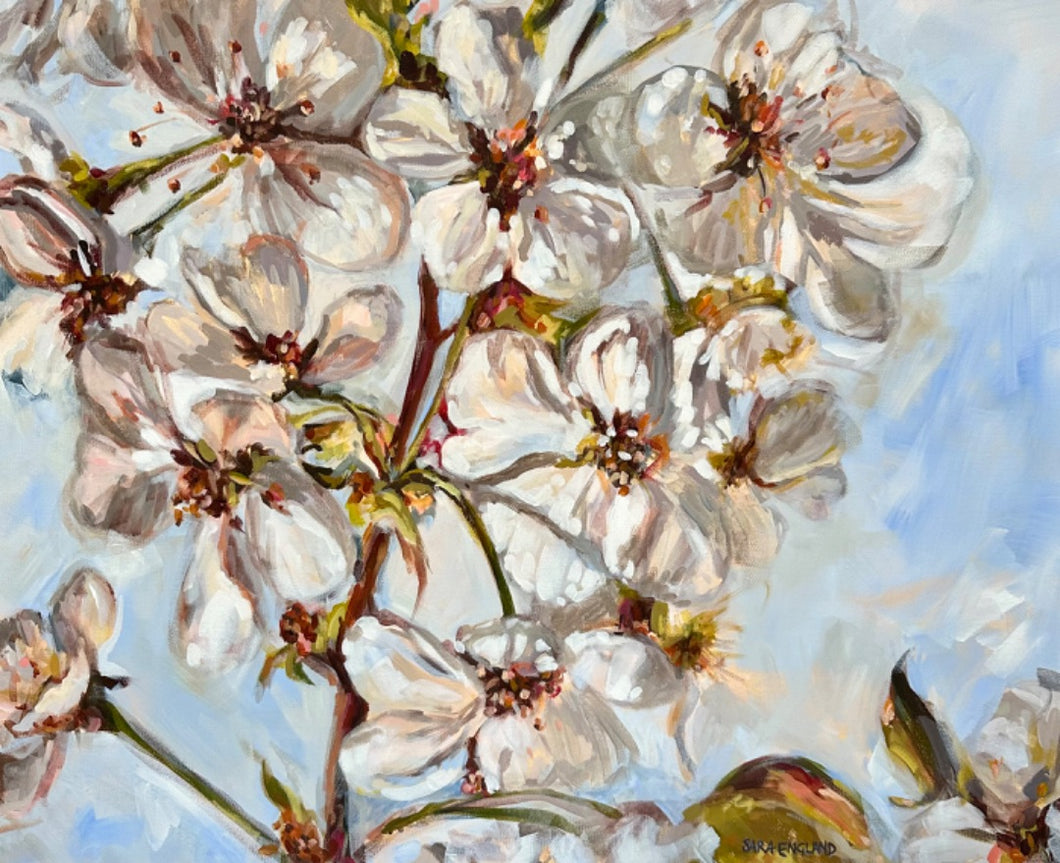 Sakura's Embrace by Sara England